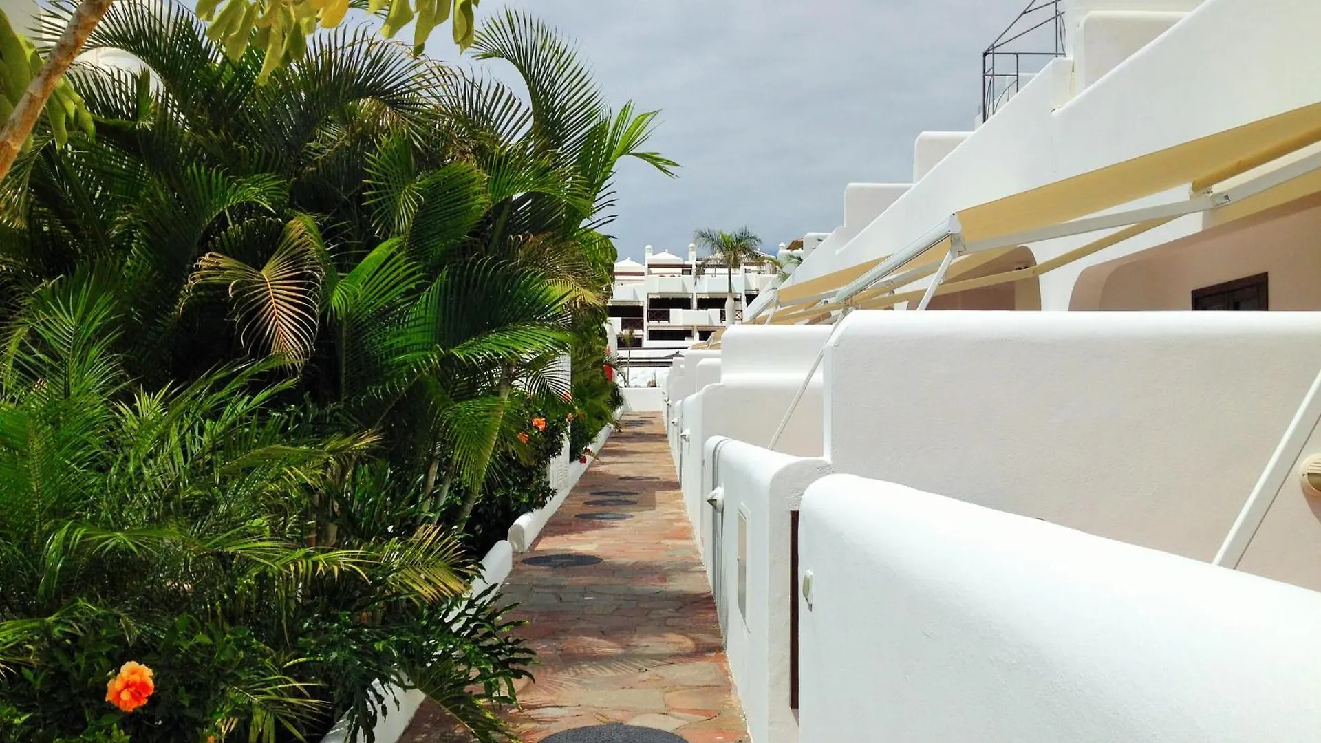 Apartment Luxury Complex Near The Sea Costa Adeje